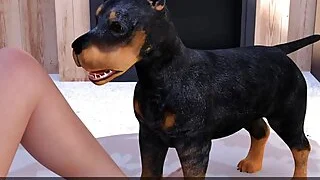 xnxx 2